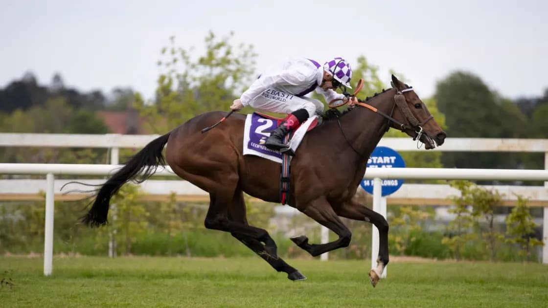 Royal Ascot horse racing picks and predictions for Thursday's races: It could pay to follow Twilight Payment