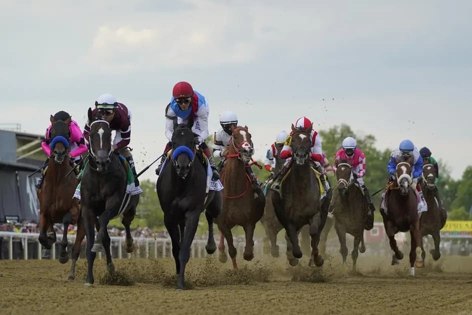 Horse Racing picks for Parx race track on Tuesday, February 8: Gia's Fuego en fuego