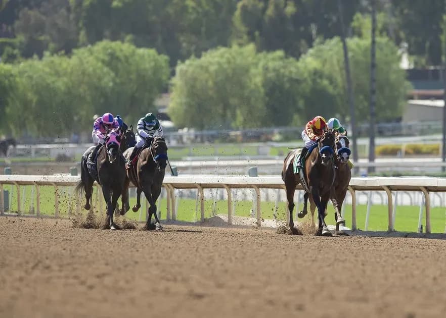 Horse Racing picks for Parx race track on Tuesday, October 3: Double Dreaming of a victory
