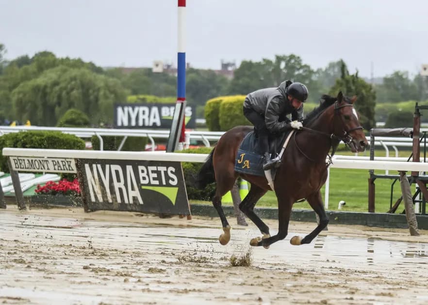 Horse Racing picks for Gulfstream Park race track on Thursday, April 20: Big day for Wildcat Star