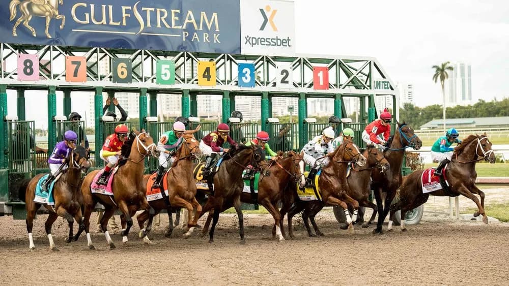 Horse Racing picks for Gulfstream Park race track on Friday, March 10: Three Witches can fly high