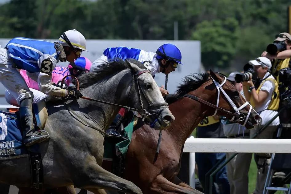 Horse Racing picks for Belmont Park on Friday, July 9: Three Jokers is no joke