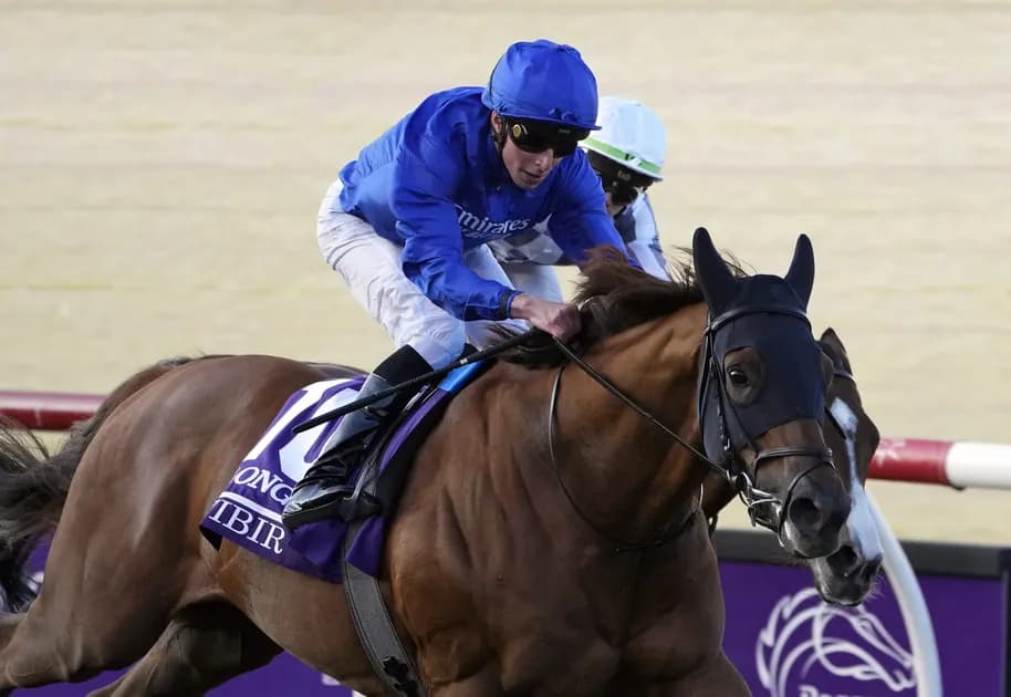Horse Racing picks for Belmont Park race track on Saturday, May 14: Yibir can win battle in Man o' War Stakes