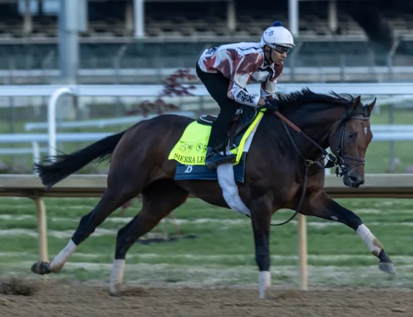 2024 Kentucky Derby Runners: Horses, Contenders, Odds & Expert Handicappers' best bet: Sierra Leone delivers for Chad Brown