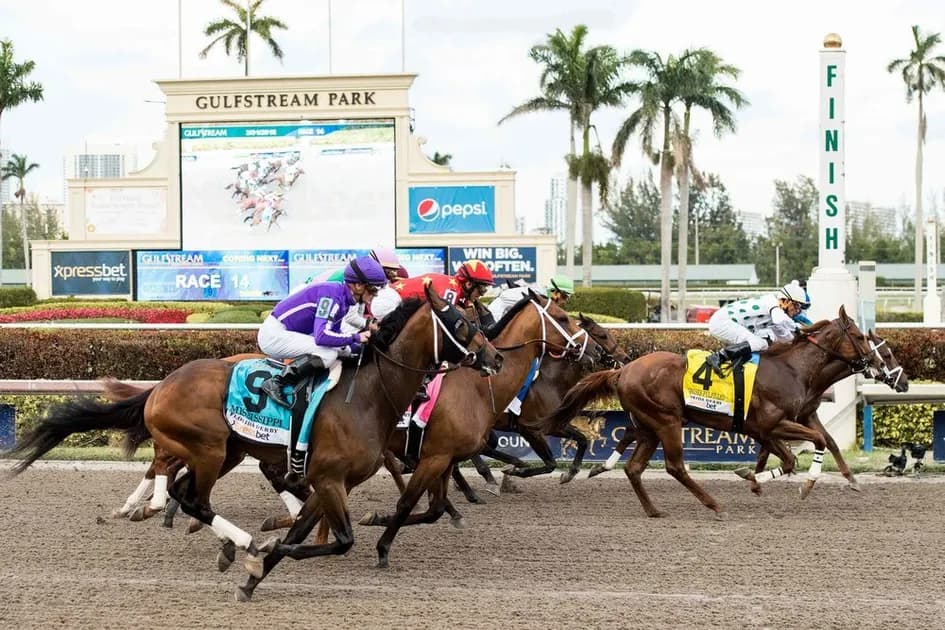 Horse Racing picks for Gulfstream Park race track on Wednesday, March 22: Sequin Lady set to sparkle