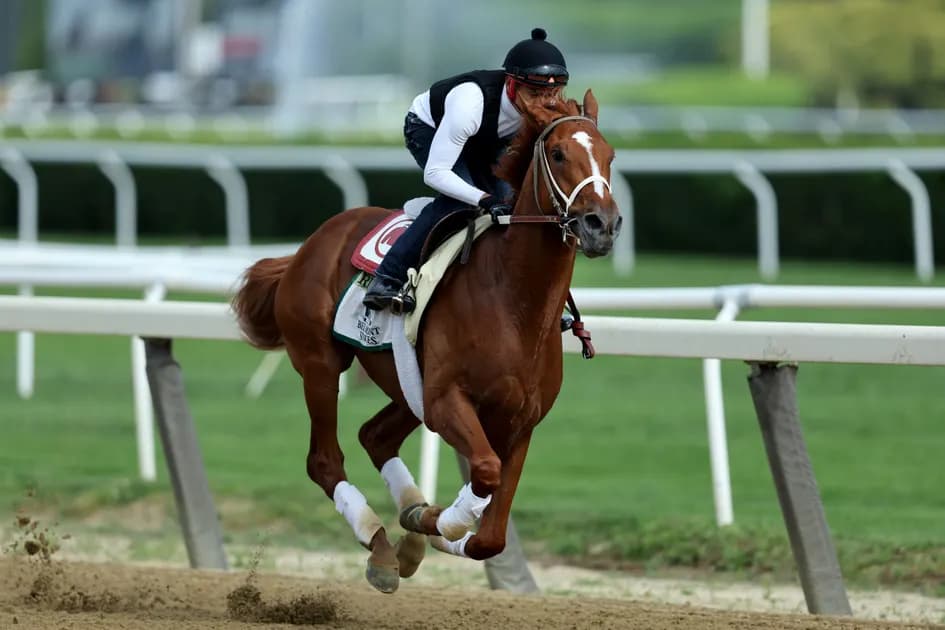 2022 Belmont Stakes runner-by-runner guide: Horses, analysis, odds and best bet