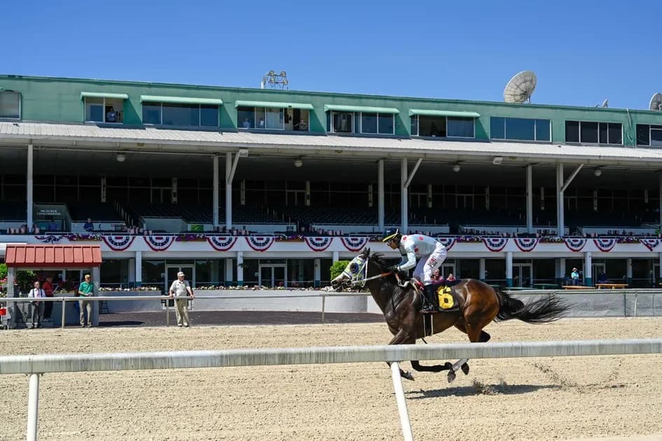 Horse Racing picks for Parx race track on Tuesday, October 26: Stack the Deckology