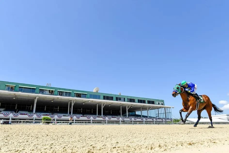 Horse Racing picks at Churchill Downs race track on Thursday, November 25: Front Street out in front
