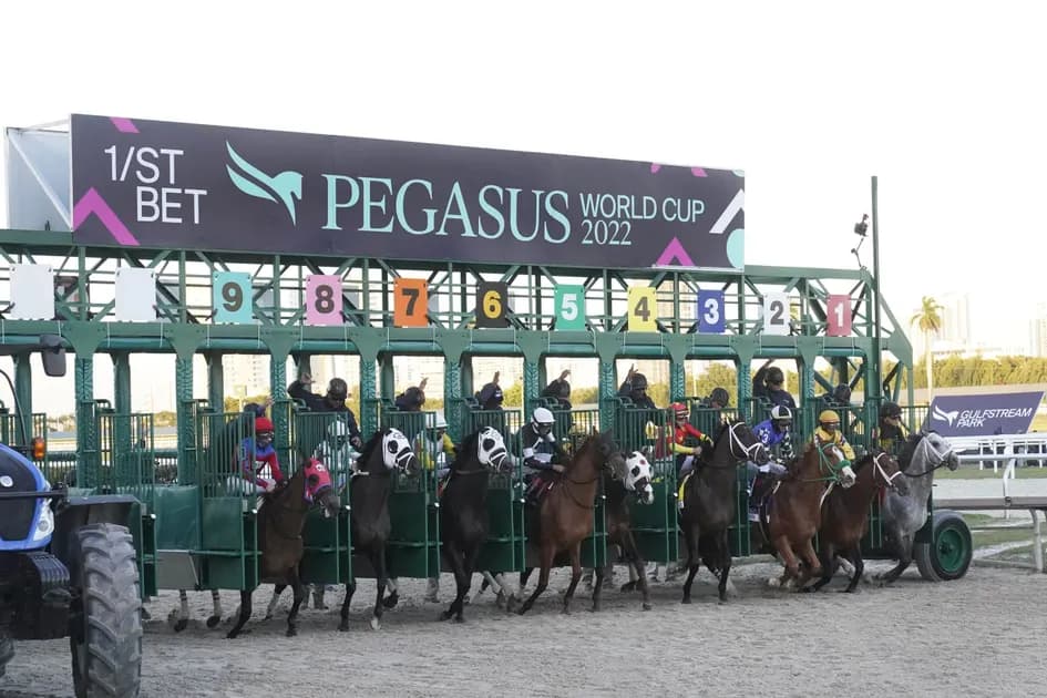 Horse Racing picks for Gulfstream Park race track on Friday, February 4: Amazin Queen looks amazing
