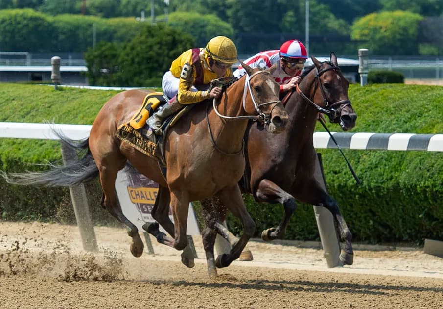 2023 Breeders’ Cup Saturday picks, predictions & best bets: Arabian Knight has Classic credentials