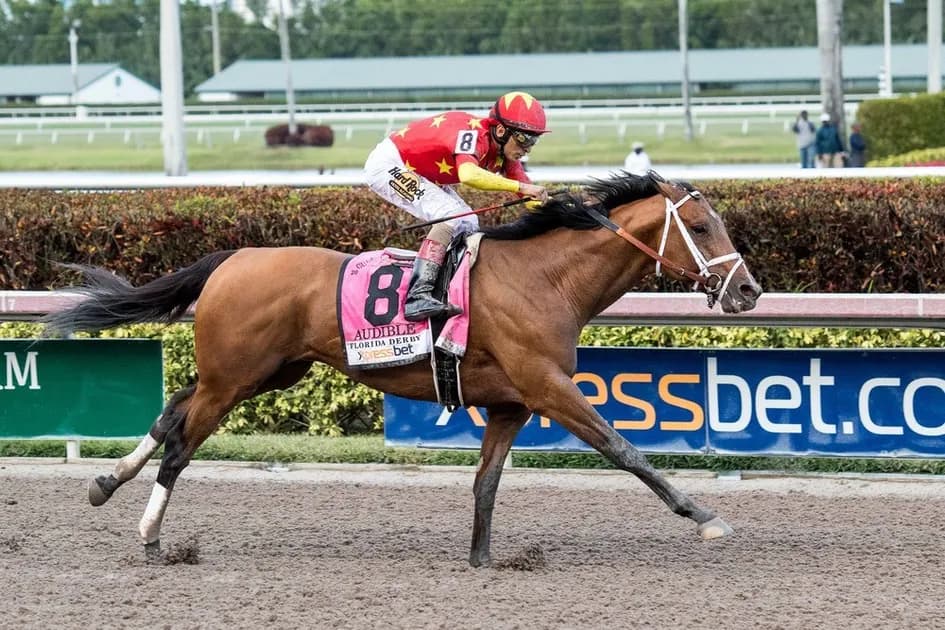 Horse Racing picks at Gulfstream Park race track on Wednesday, December 29: Beachfront Bid worth bidding on