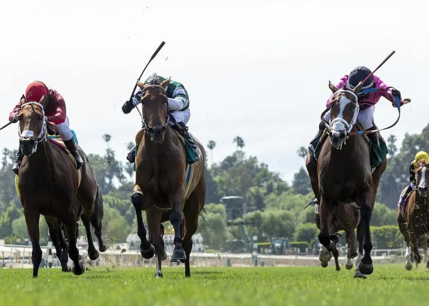 Horse Racing picks at Parx race track on Monday, November 15: Easy to make a case for A Case Of You