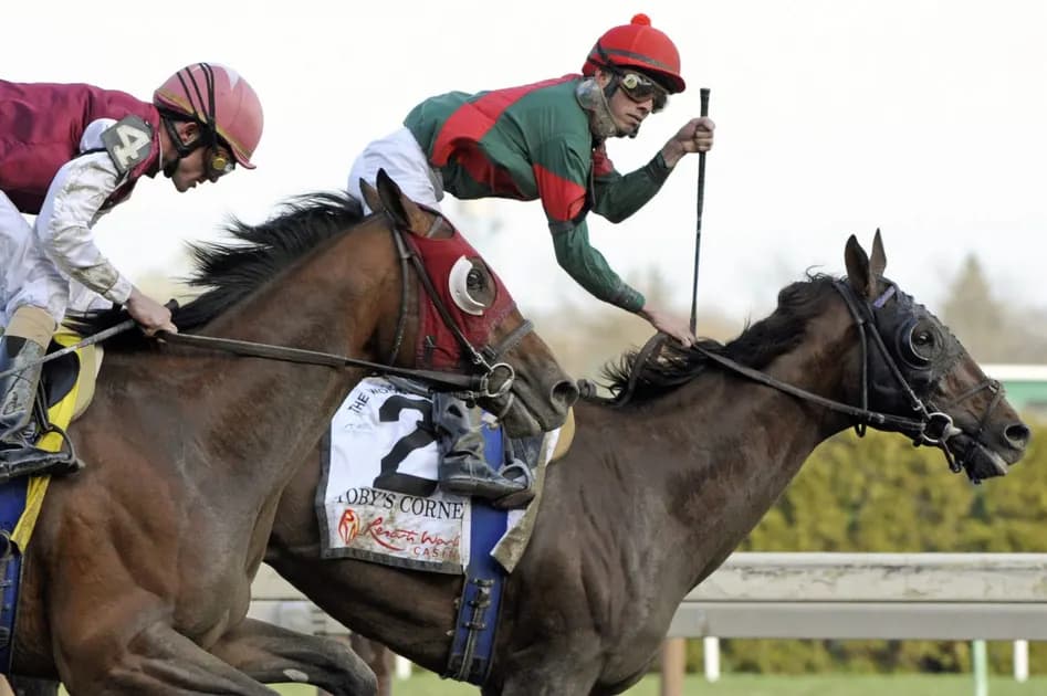 Horse Racing picks for Aqueduct race track on Thursday, January 13: Tail Foxtail