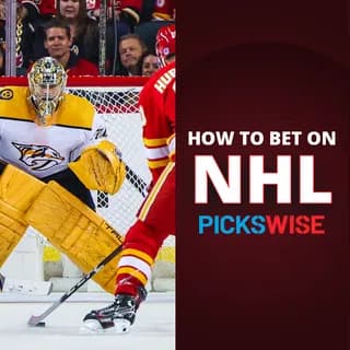 Hockey Betting: How To Bet On The NHL?