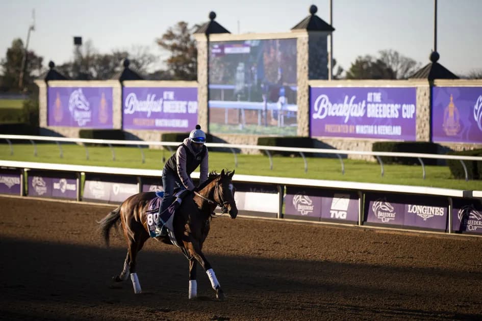 2020 Breeders' Cup: 130/1 three-horse parlay picks for Future Stars Friday