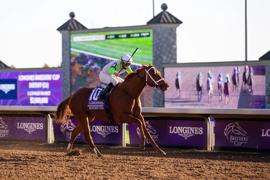 Horse Racing picks for Keeneland race track on Friday, October 29: Golden chance for Majestic D'Oro