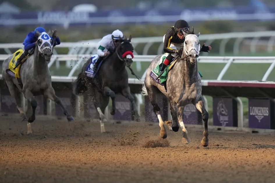 Horse Racing picks for Gulfstream Park race track on Friday, January 14: They don't want Smokin Bow's smoke