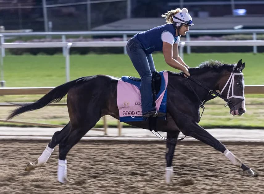 Kentucky Oaks Picks, Latest Odds, Expert Predictions & Horse-by-Horse Guide: Tenma takes off for Bob Baffert