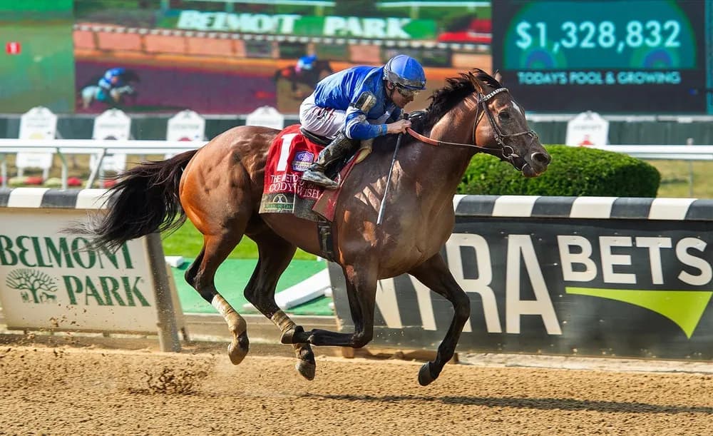 2023 Breeders’ Cup Dirt Mile Horse Racing Picks, Odds & Post Positions: Cody's Wish career ends in style