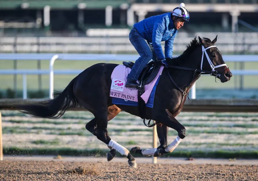 2023 Kentucky Oaks runner-by-runner guide: Horses, analysis, odds and best bet