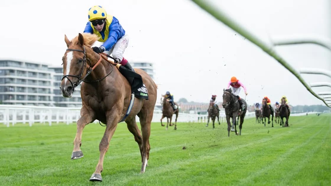 Royal Ascot horse racing picks and predictions for Saturday's races: Dream Of Dreams set to put Diamond Jubilee rivals to bed
