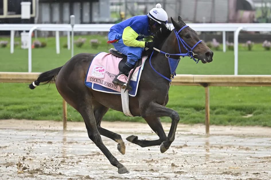 2022 Kentucky Oaks runner-by-runner guide: Horses, analysis, odds and best bet