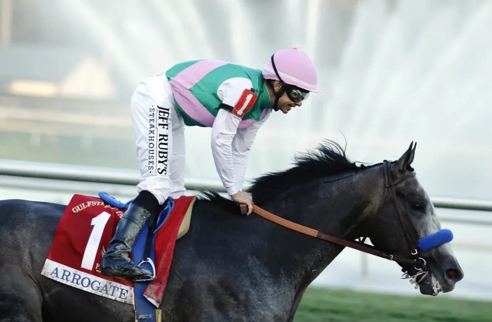 Horse Racing picks for Gulfstream Park race track on Wednesday, January 19: Better Lucci than good