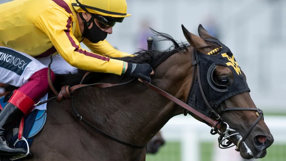 Royal Ascot horse racing picks and predictions for Friday's races: Campanelle can win Commonwealth Cup for America