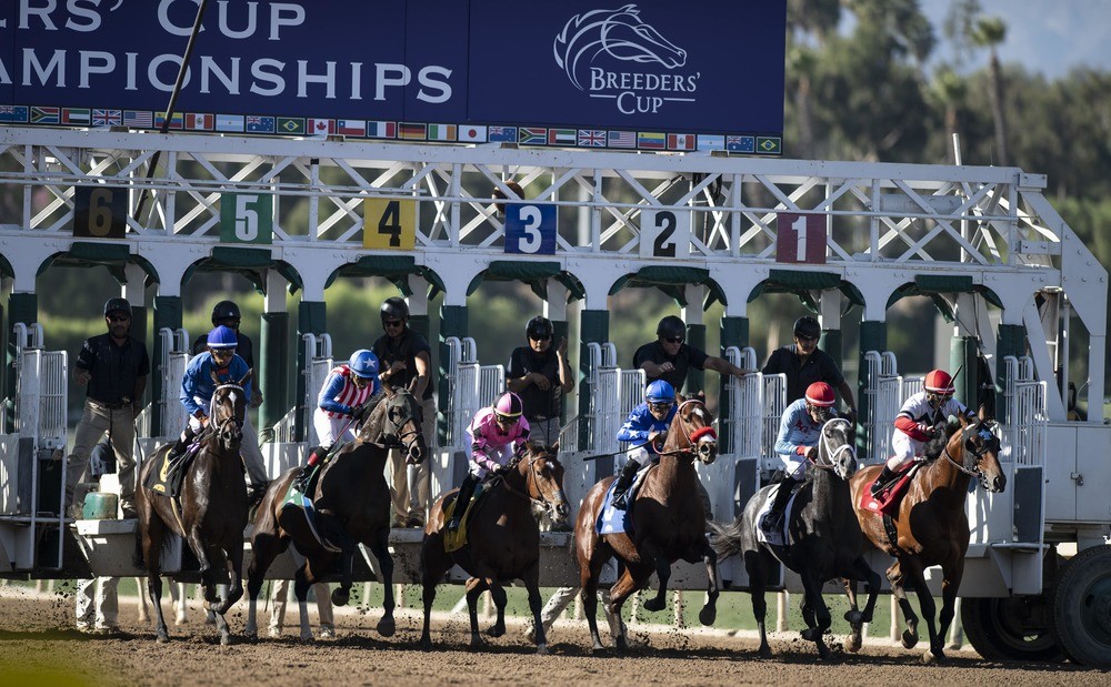 breeders cup horses in stalls