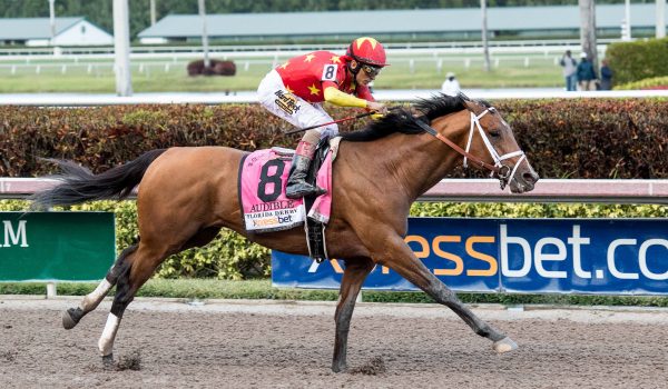 Horse Racing Picks at Indiana Grand for Monday, June 7: Wager on Stormy Wager