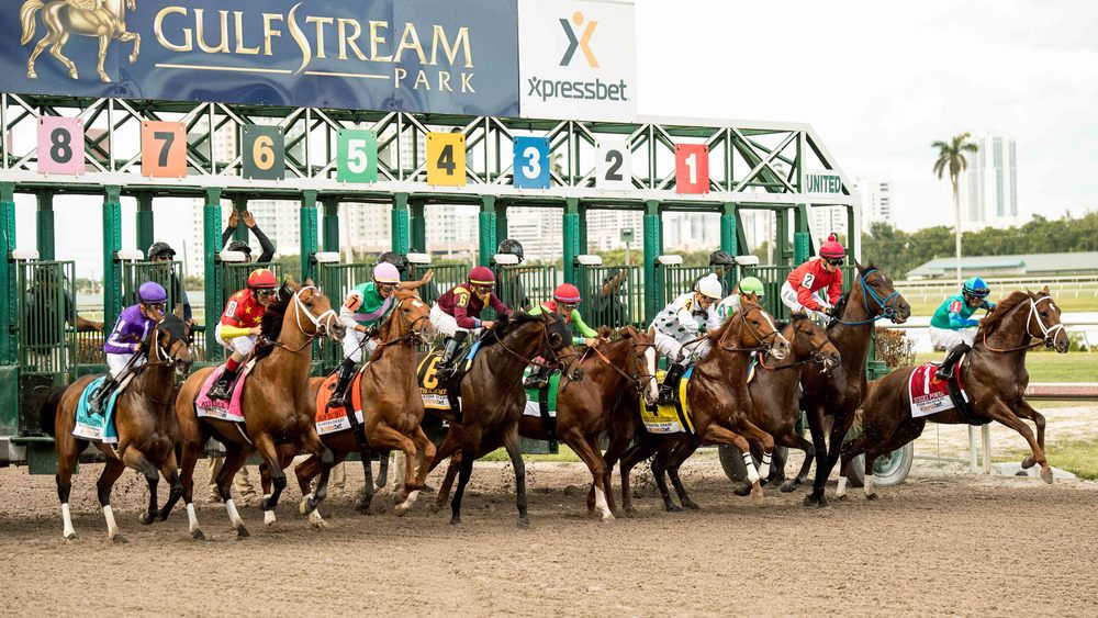 The field leaves the gate for the start of the 67th running of the Florida Derby at Gulfstream Park