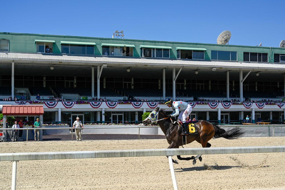 Horse Racing picks at Del Mar race track on Friday, November 12