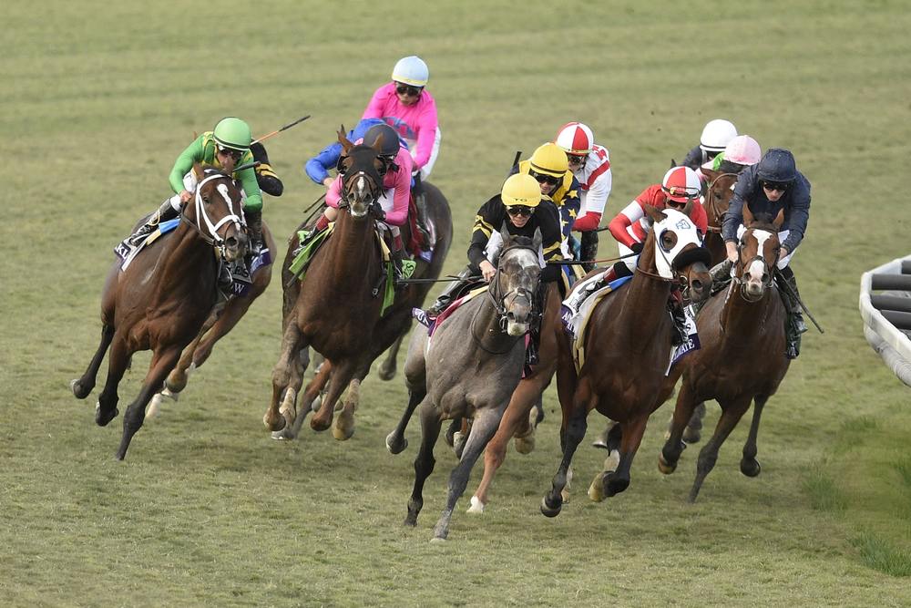 horse racing for today please