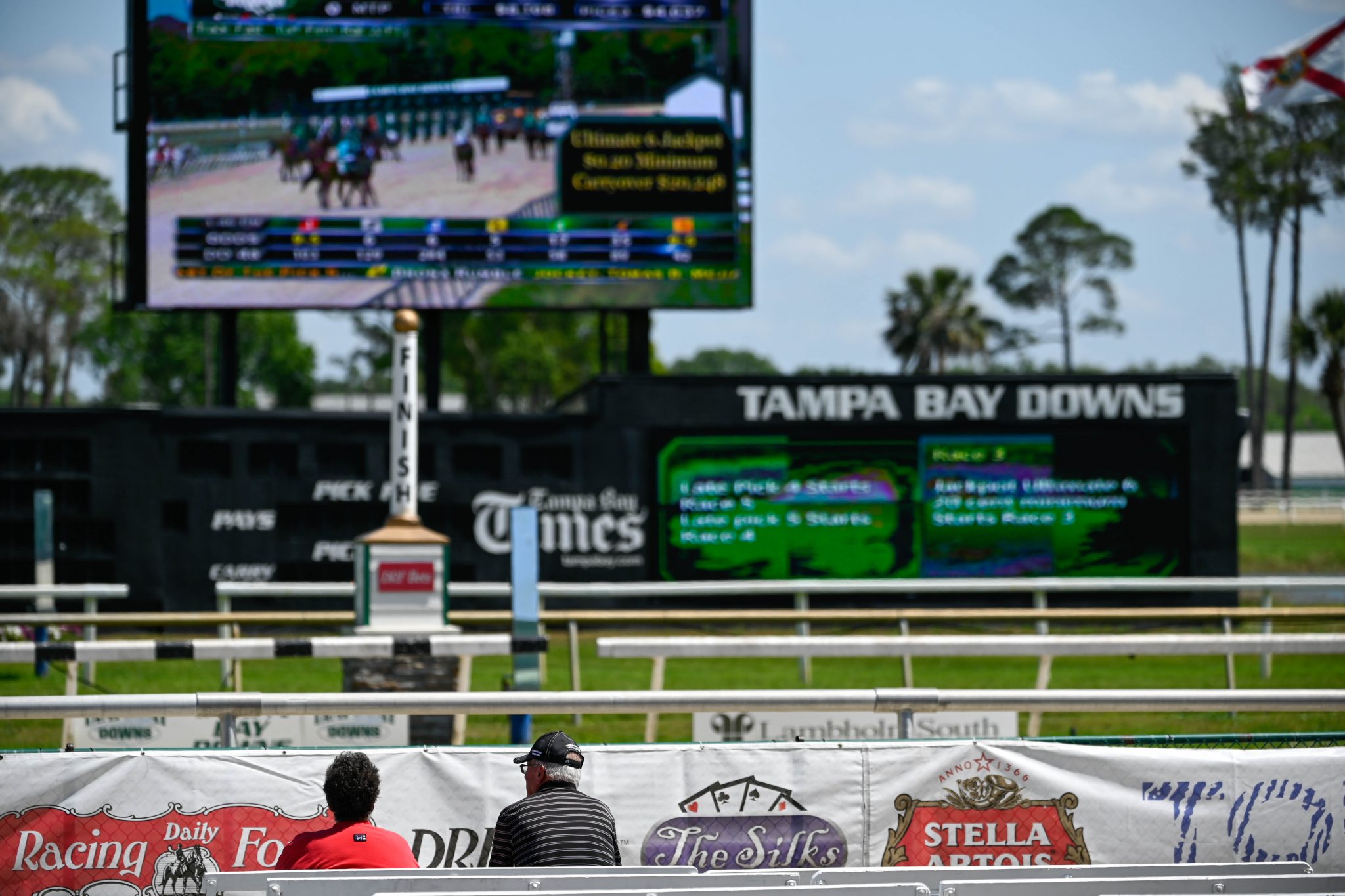 Tampa Bay Downs Track Guide & Tampa Bay Downs Picks