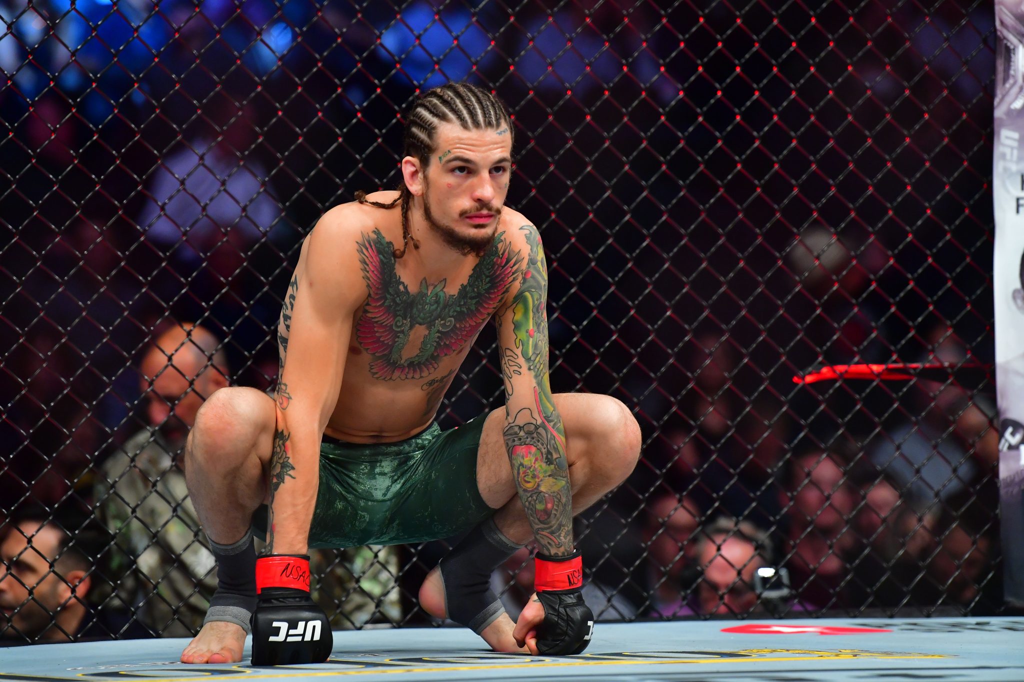 UFC Predictions UFC Fight Night Predictions Tonight Pickswise