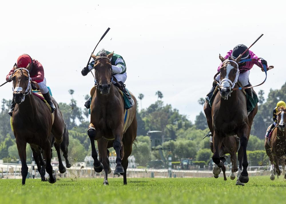 Horse racing on the turf at Santa Anita