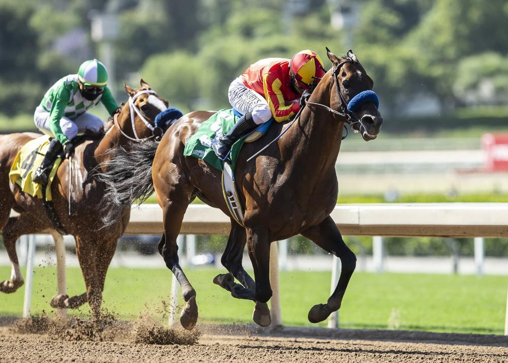 Horse Racing on dirt at Santa Anita