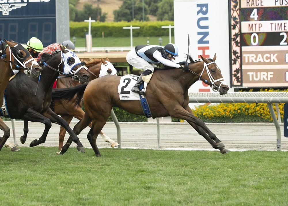 Santa Anita Horse Racing on Turf