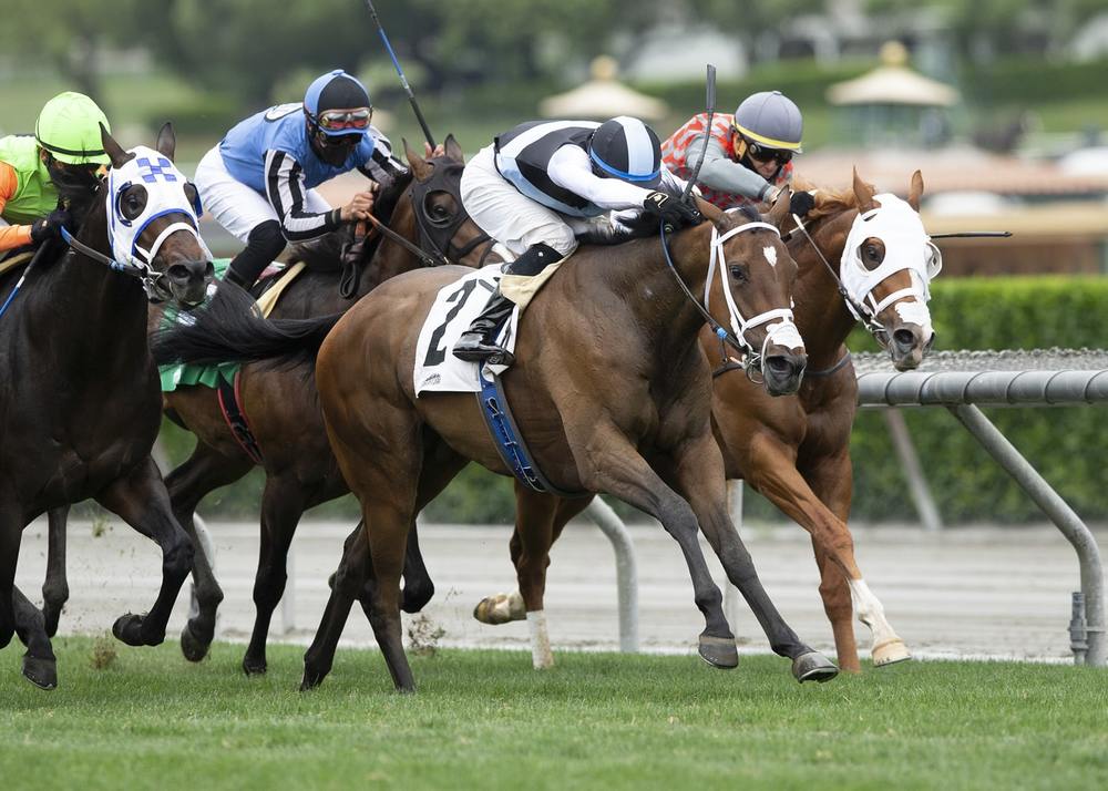Thoroughbred Betting Online
