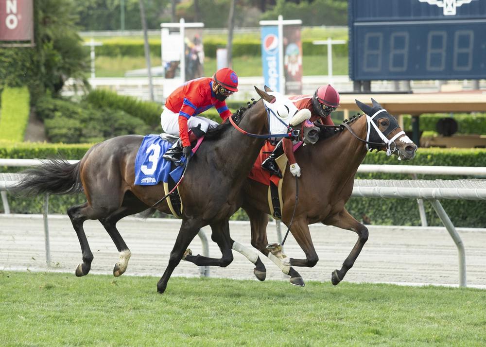 Santa Anita Horse Racing on Turf