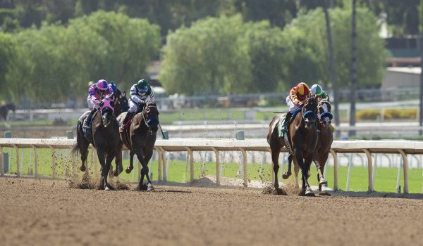 Belmont Stakes best bets: Tiz the Law, Sole Volante will rule