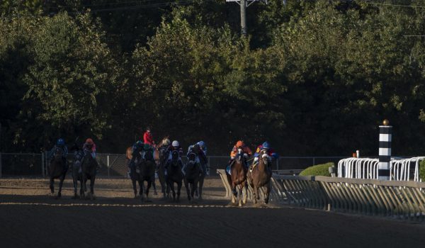 Horse Racing Picks at Indiana Grand for Tuesday, June 8: Mercy ready to show her quality