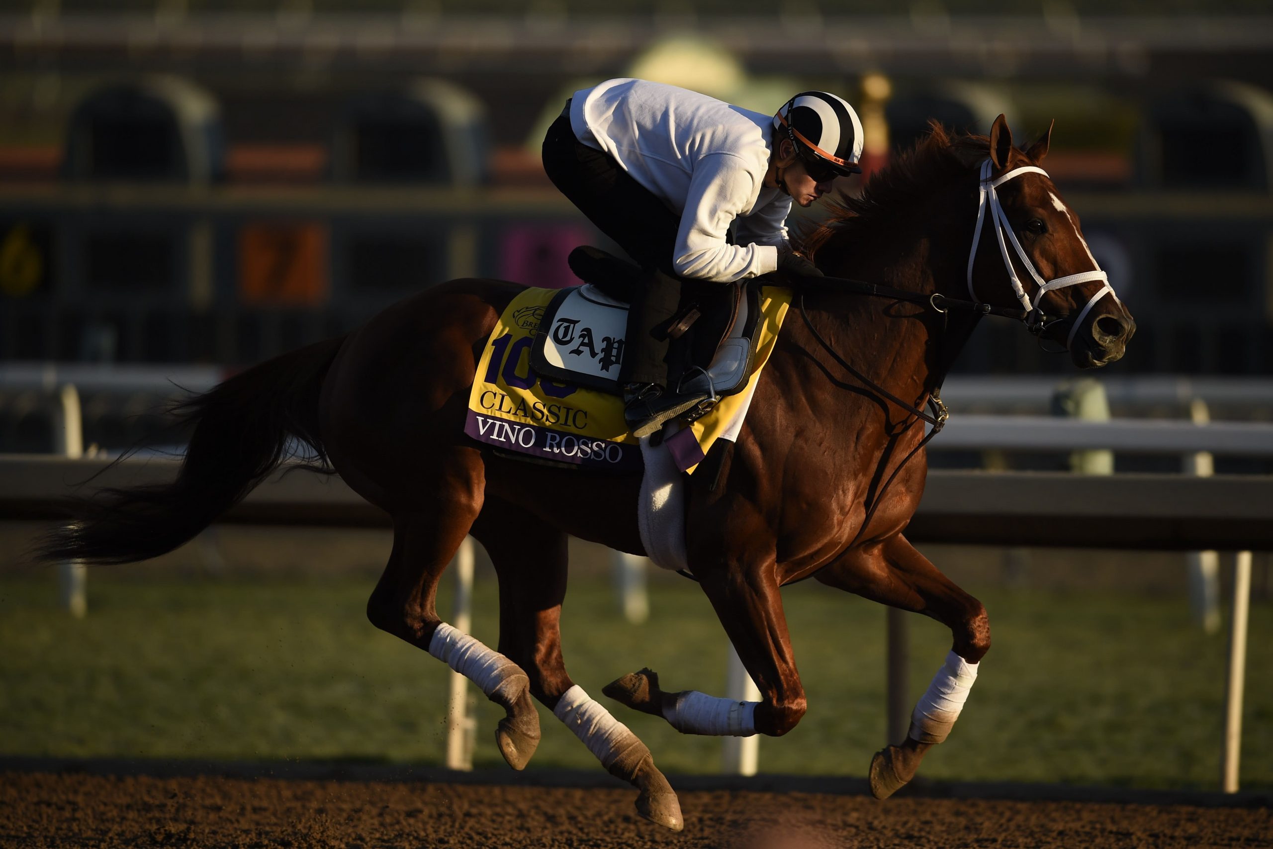 Vino Rosso works out at Santa Anita Park.