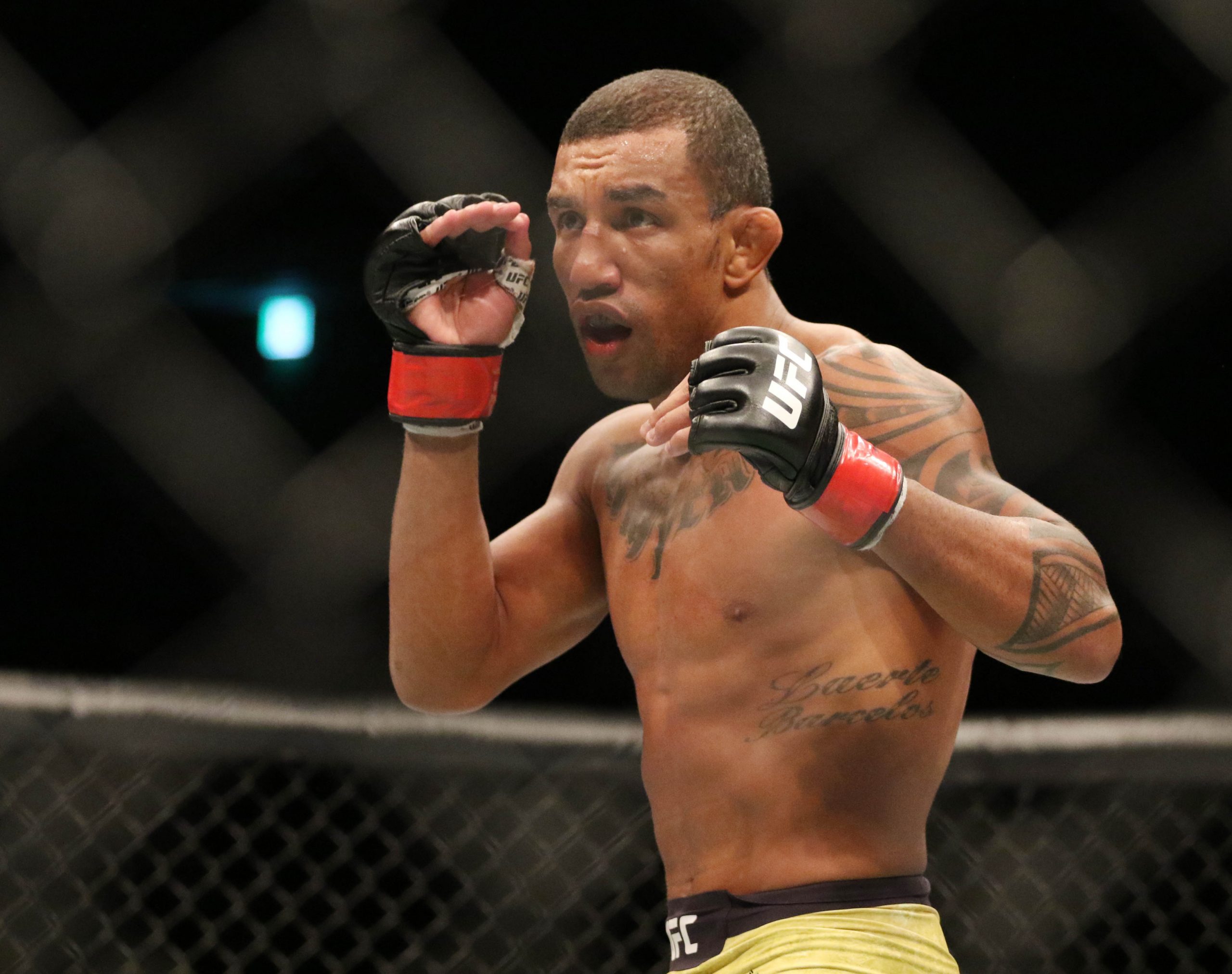 Dec 21, 2019; Busan, SOUTH KOREA; Raoni Barcelos (red gloves) fights Said Nurmagomedov (blue gloves) during UFC Fight Night at Sajik Arena.