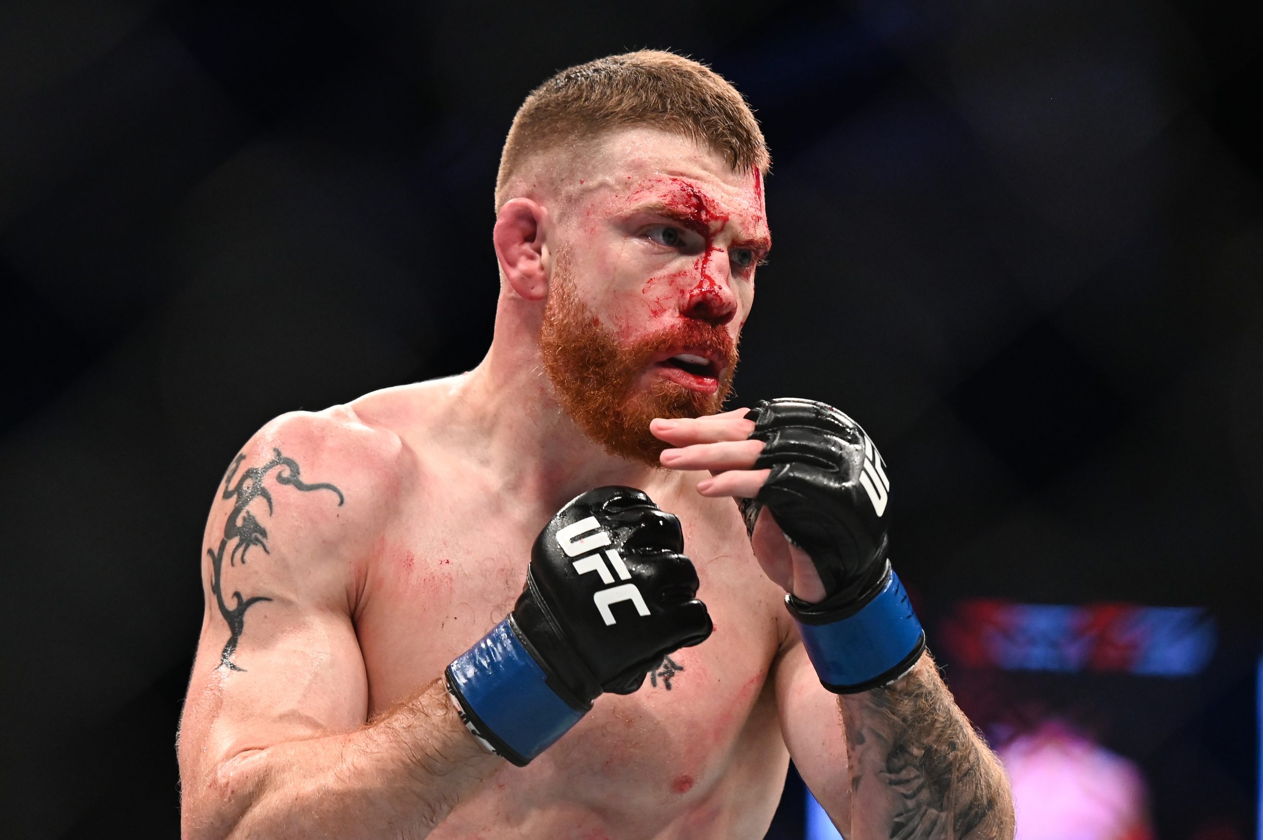 Sep 7, 2019; Abu Dhabi, UAE; Paul Felder (blue gloves) fights Edson Barboza (not pictured) during UFC 242 at The Arena.