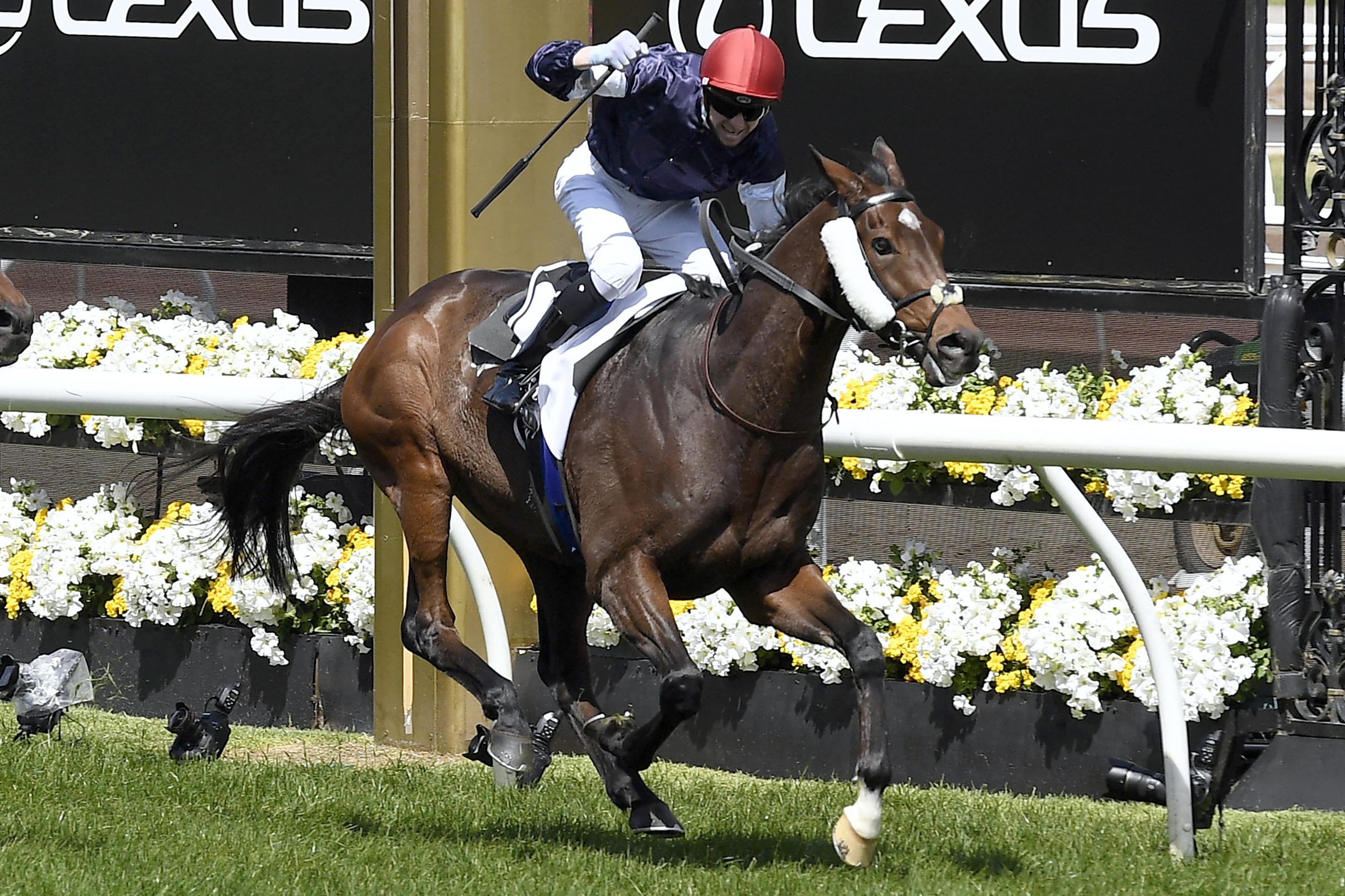 Horse Racing