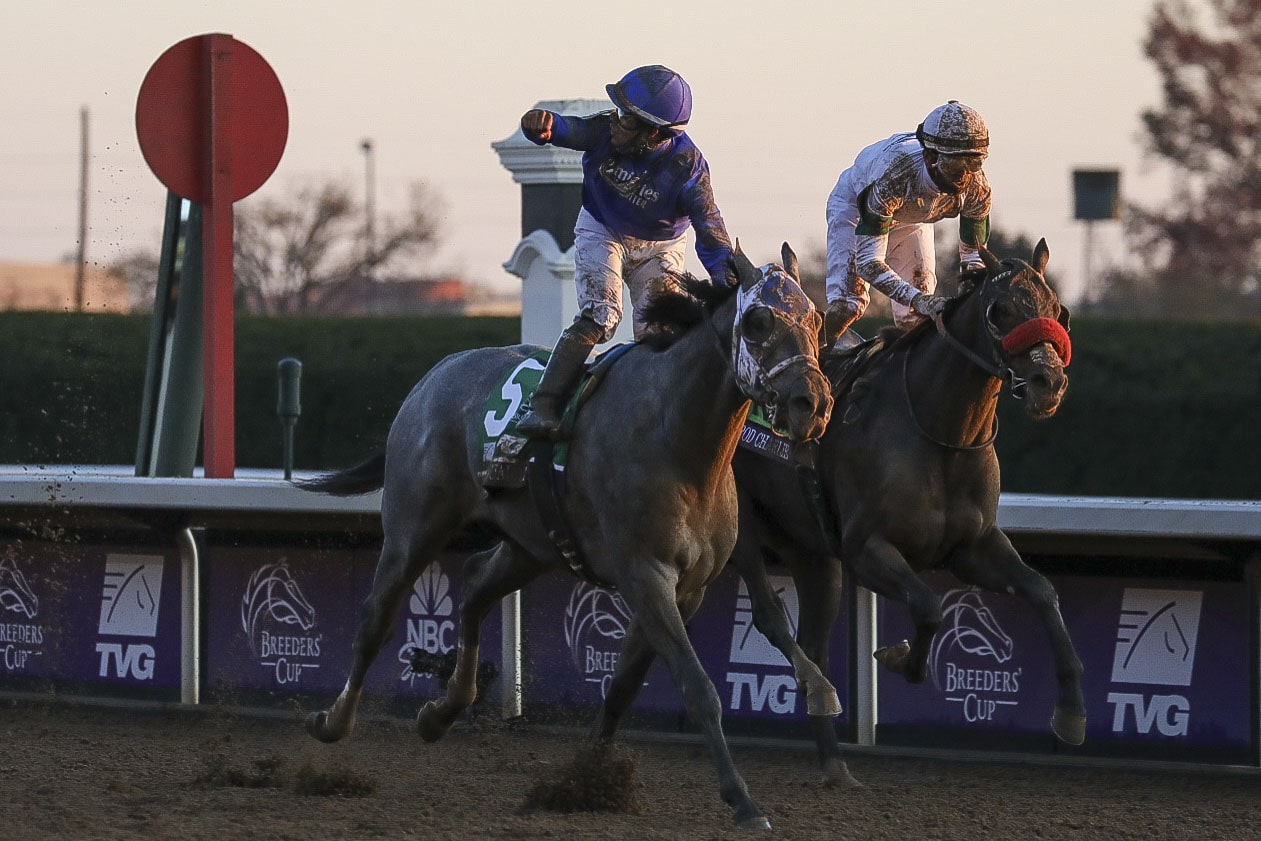 Essential Quality is a favourite for the 2021 Belmont Stakes