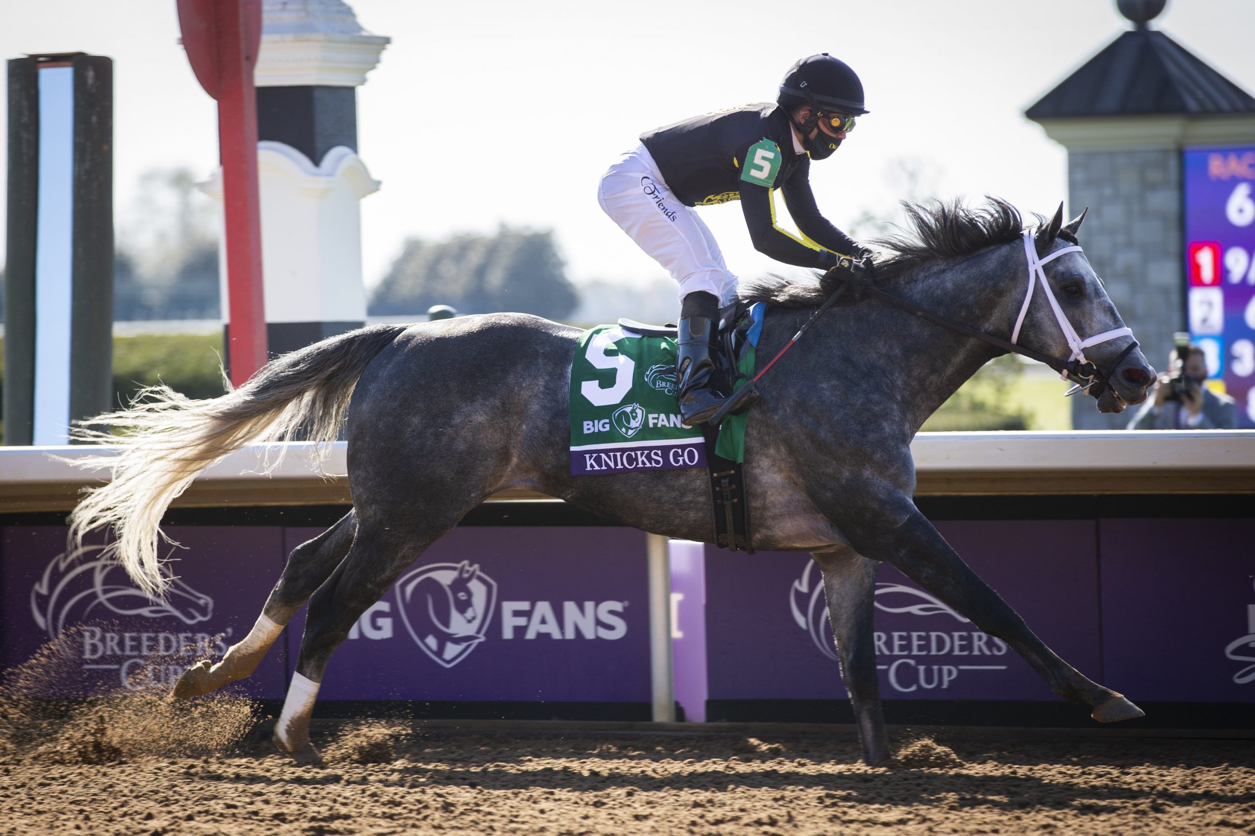 Knicks Go is one of the high-quality horses in action at Belmont Park on Saturday