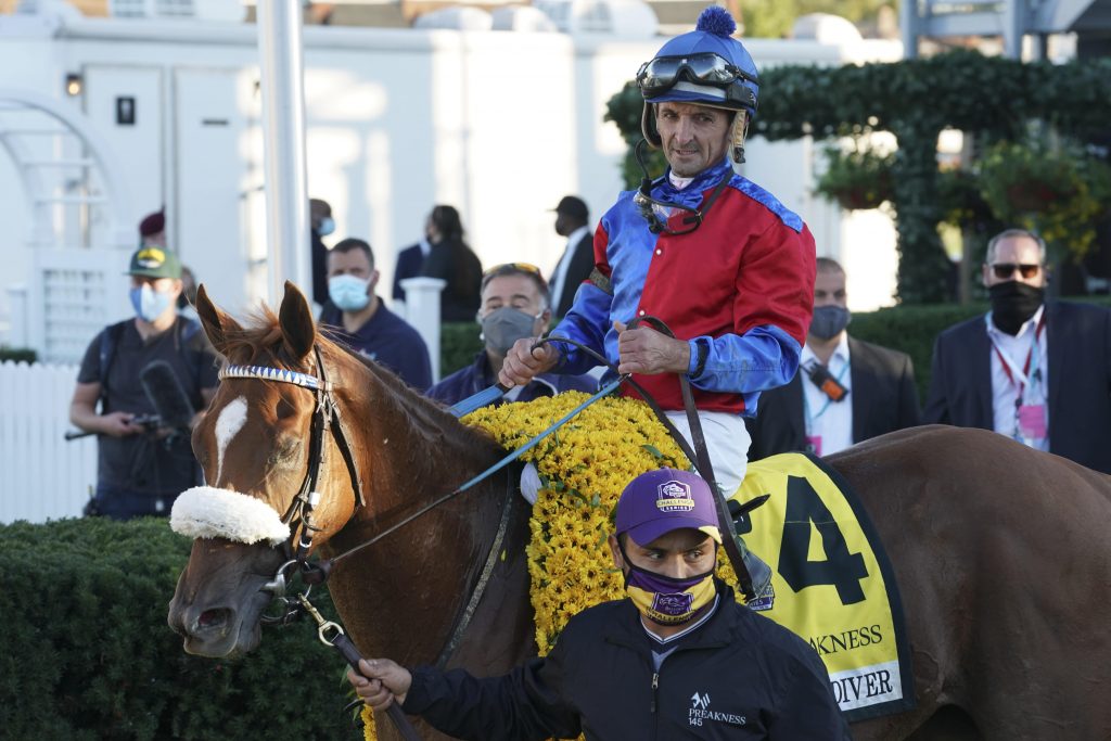 2020 Preakness winner Swiss Skydiver is set to run at Belmont Park in the Ogden Phipps Stakes