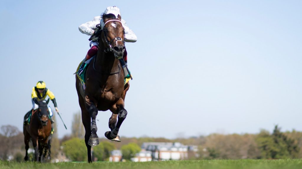 Palace Pier roars home to win the Lockinge Stakes at Newbury